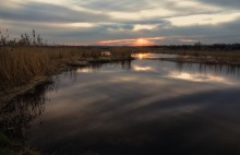 Spiegelung / ***