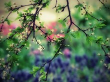 Aquarell / ***