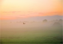 Morgens Flug / ***
