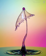 Splash "Pilz" / ***