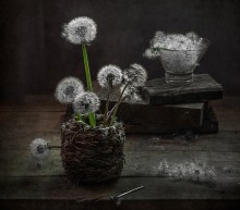 Aus der Serie "Und alle Rückkehr an die Spitze ..." / ...