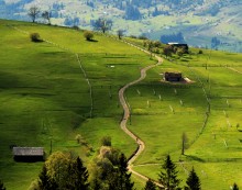 Weg / ***
