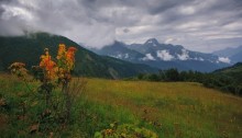 Ersten Töne des Herbstes / ...
