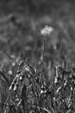  / 1/100 s
f/2,0
ISO 100
-0,67 eV