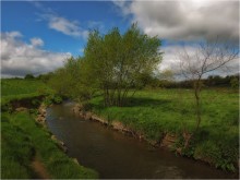 RIVER VI ...... / ***