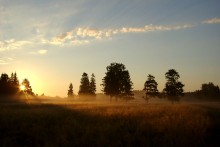 Am frühen Morgen / ***