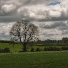 ...lonely II... / ***