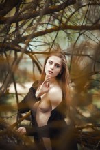 Rust#2 / westkis.com
