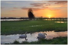 A romantic morning. / Flood in my region.