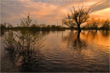 Quellwasser / ***