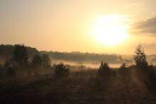 Foggy Sonnenaufgang / _____________________*