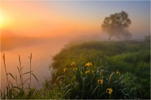 Der Sommer beginnt ... / ***