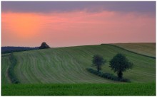 A summer sunset / A summer sunset in Belgium.