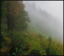 Weg im Nebel / ...