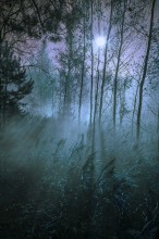 Auf dem Mond / *******