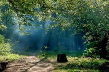 Im April ist der Park / ***