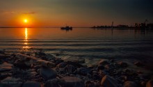 In Port. / ***
