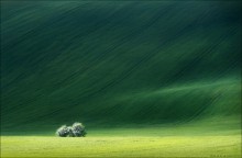 / TSUNAMI / / ***