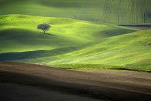 Tuscan velvet / Light across the Tuscan fields...