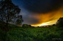 Nach dem Regen / ***