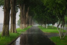 Regen / ***