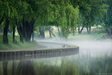 Nebel nach dem Sturm / ***