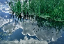 Spiegelung / ***