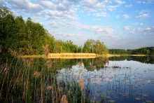 Forest Lake / ***