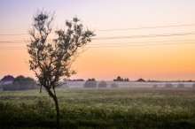 Foggy Sonnenuntergang / ***