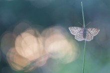 Einen neuen Tag / ---