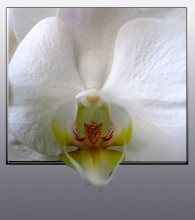 :) Hallo! / ***