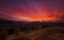 / Glow of dawn / / ***