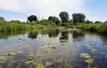Mr. und Sommer Fluss / ***