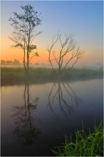 Am Ufer des Wald / ***