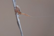 Unter dem Zirkuszelt / ---