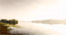 Coole Sommermorgen / ***