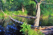 Fluss Stokhid / ***