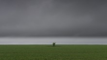 Lone Busch. / ***