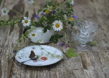 Mit der Schmetterling ... / .............................
