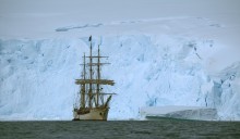 Bark Europa / ***