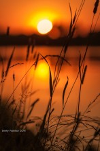 Sonnenuntergang ... / ***