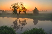 In der Stille der Morgendämmerung / ***