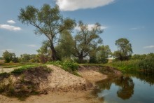 Modest Bachwald ... / ...