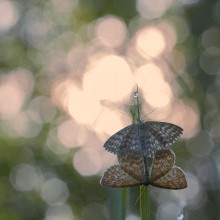 Start in den Tag / ---
