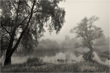 Nebel in Graustufen / ***