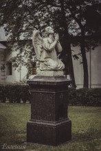 Engel des Nowodewitschi-Kloster / ***