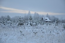 Winter / ***