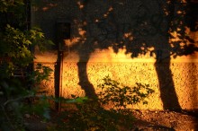 Sunset / ***