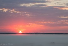 Nebel am frühen Morgen ...... / ***