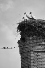 Treffen die Jungs / ...